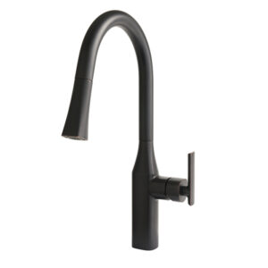 Santa Cruz Kitchen Faucet